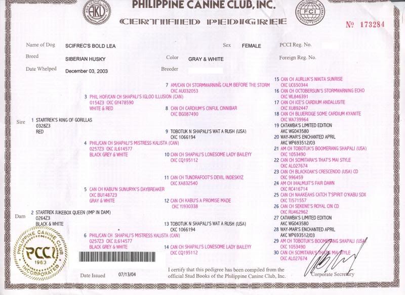 Belgian malinois pcci papers for sale